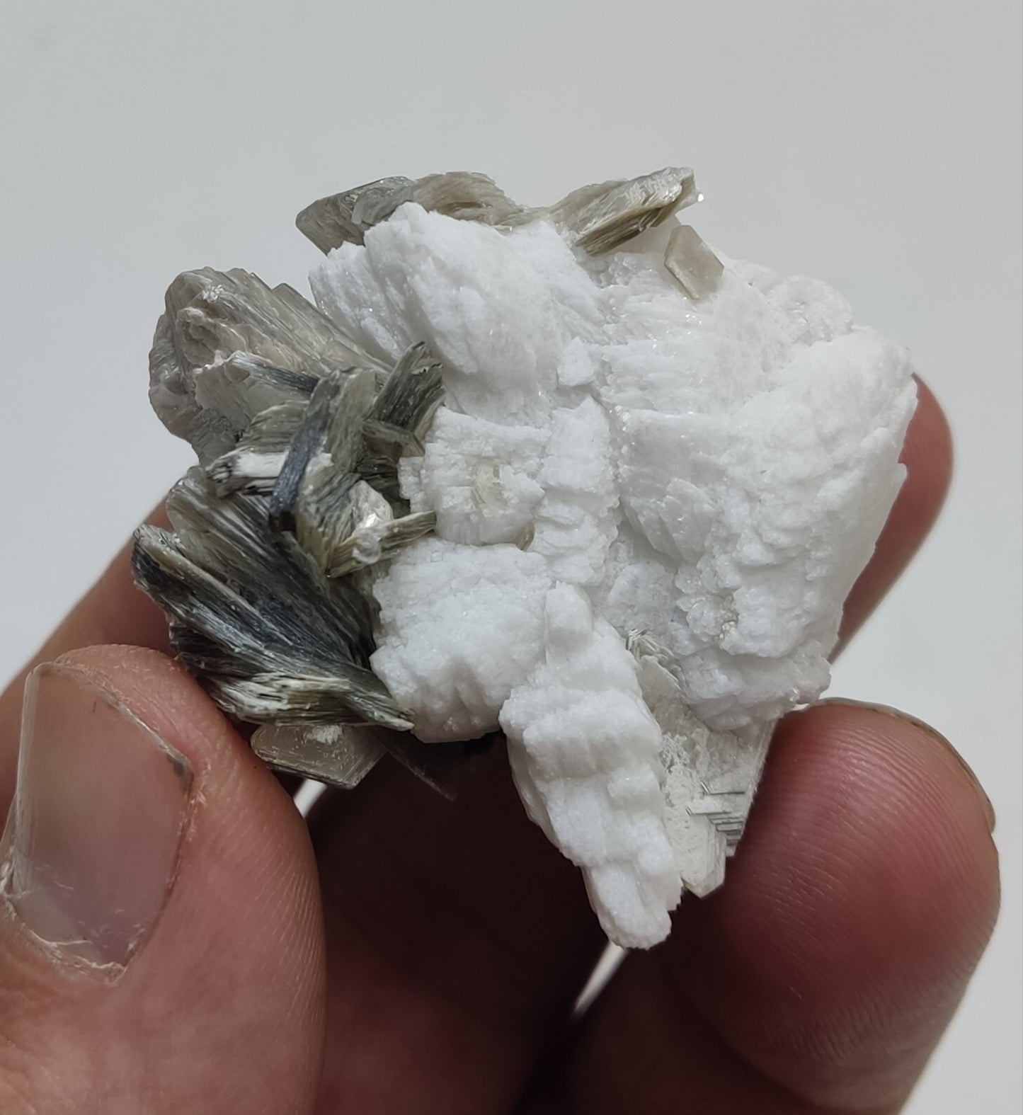 An Aesthetic specimen of muscovite with Tourmaline and albite 40 grams