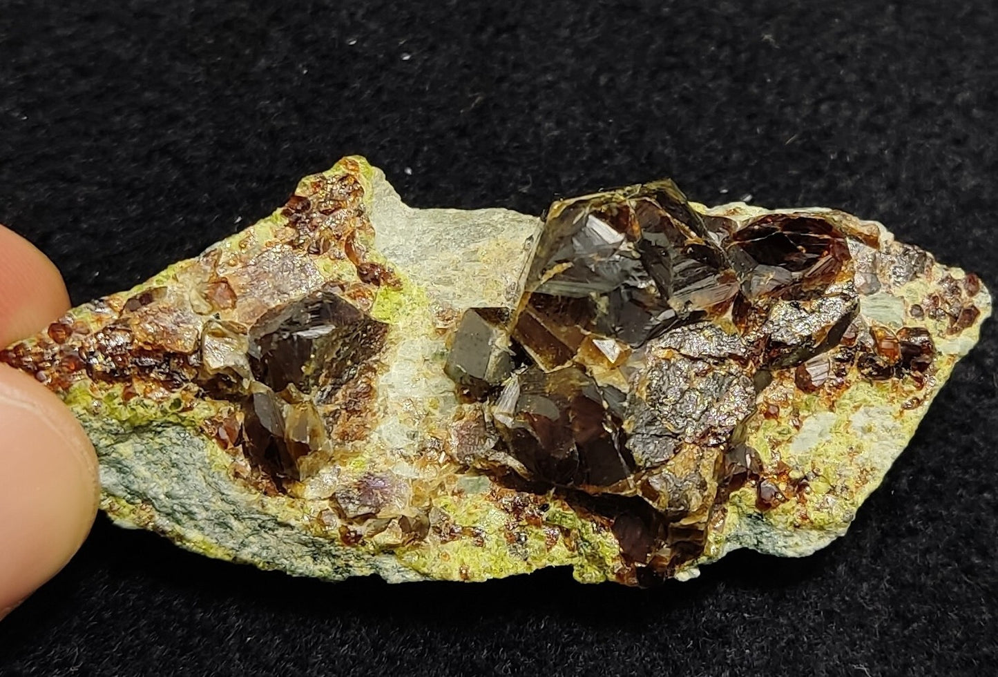 Andradite garnets on matrix with epidote 43 grams