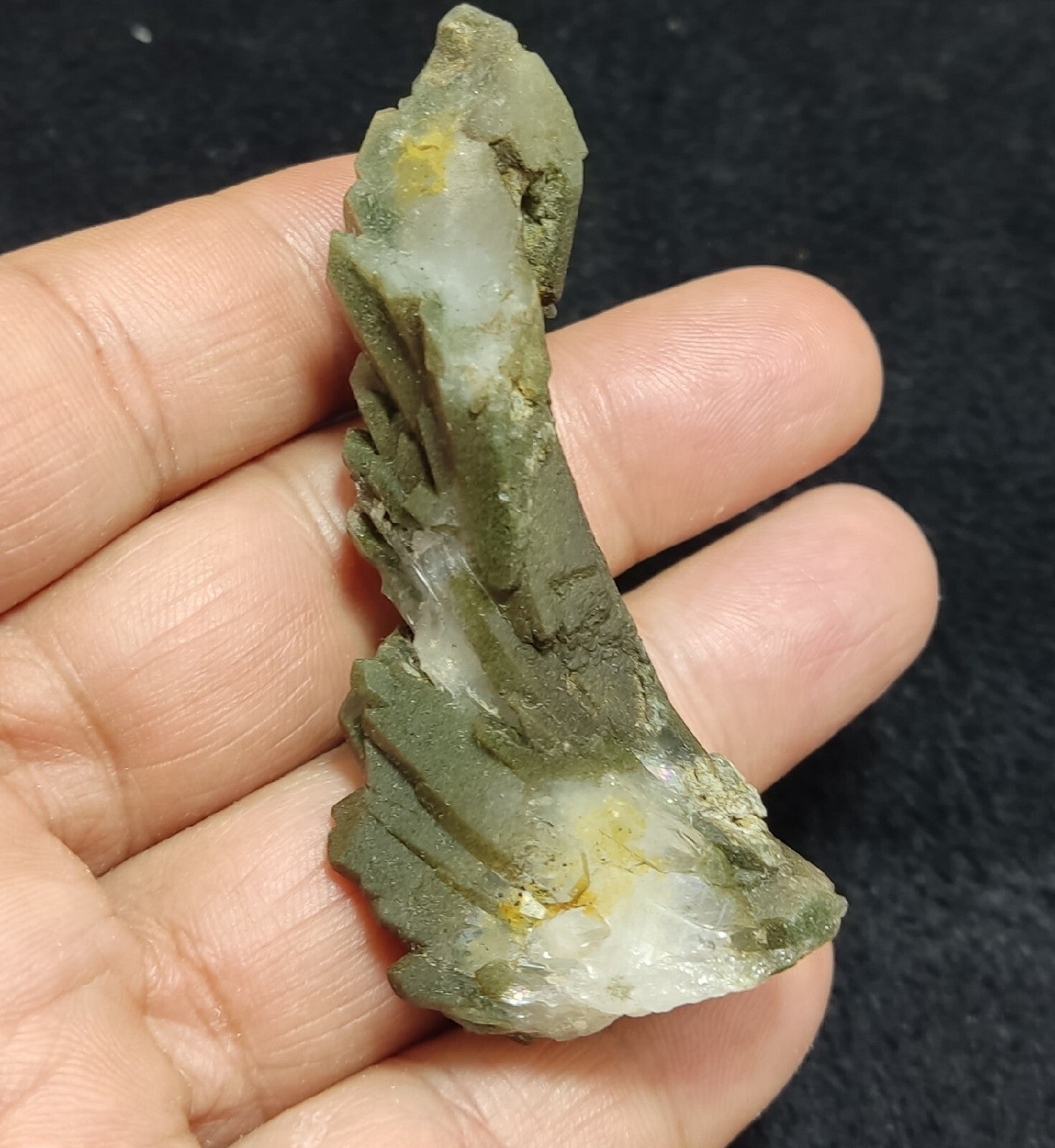 Natural Chlorite Quartz Crystal Bended Formations  35 grams
