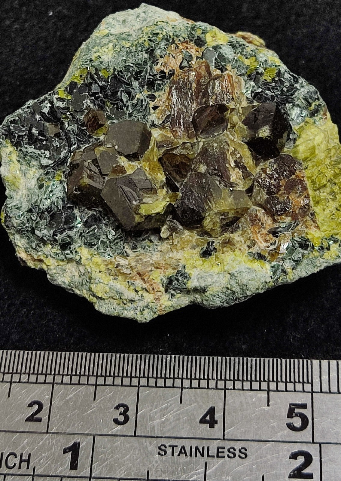 Andradite garnets on matrix with epidote and clinochlore 56 grams