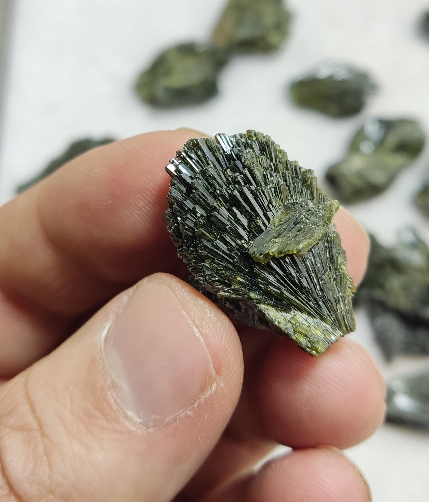 Natural Dark Green Epidotes crystals Random Selection.