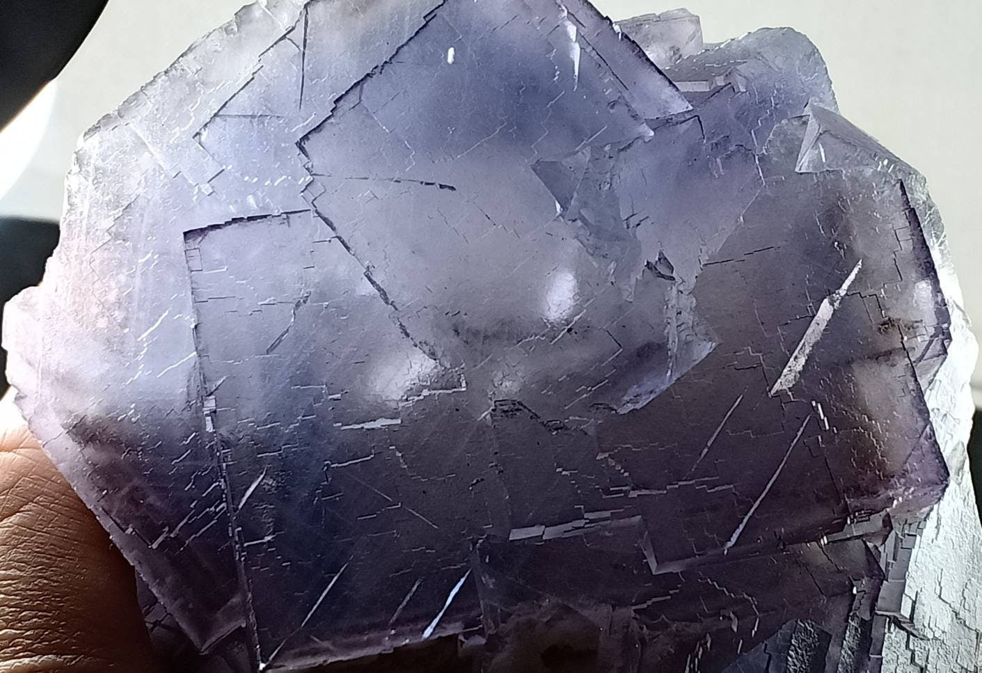 Purple Fluorite with Blue zoning 1050 grams