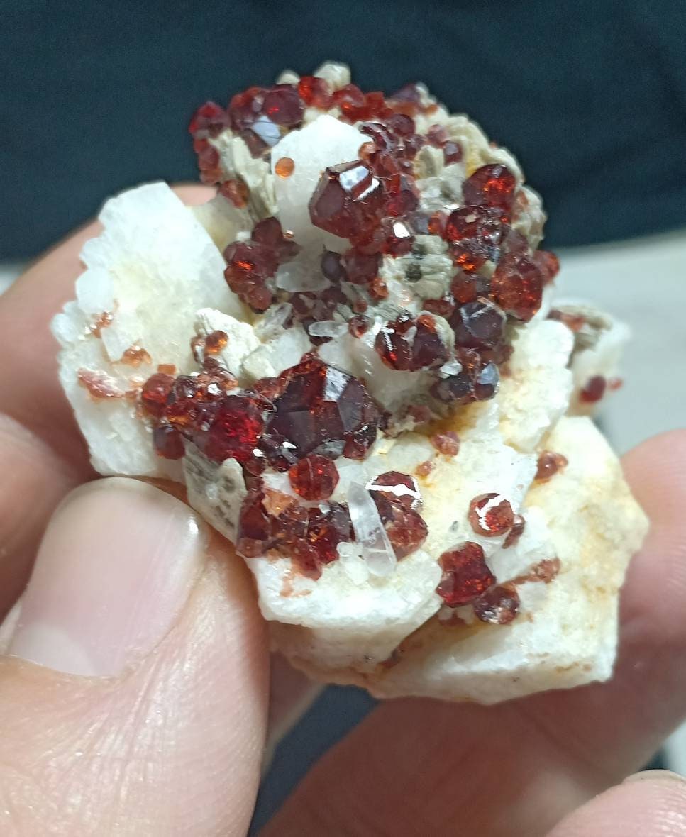 Single beautiful Spessartine Garnet clusters on Albite with associated Muscovite 71 grams