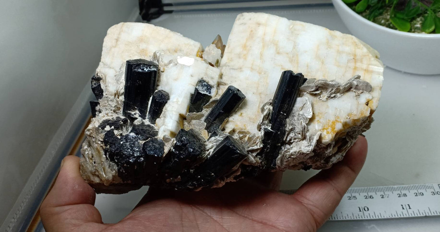 Beautiful Black Tourmaline Specimen with Albite and Quartz Crystals