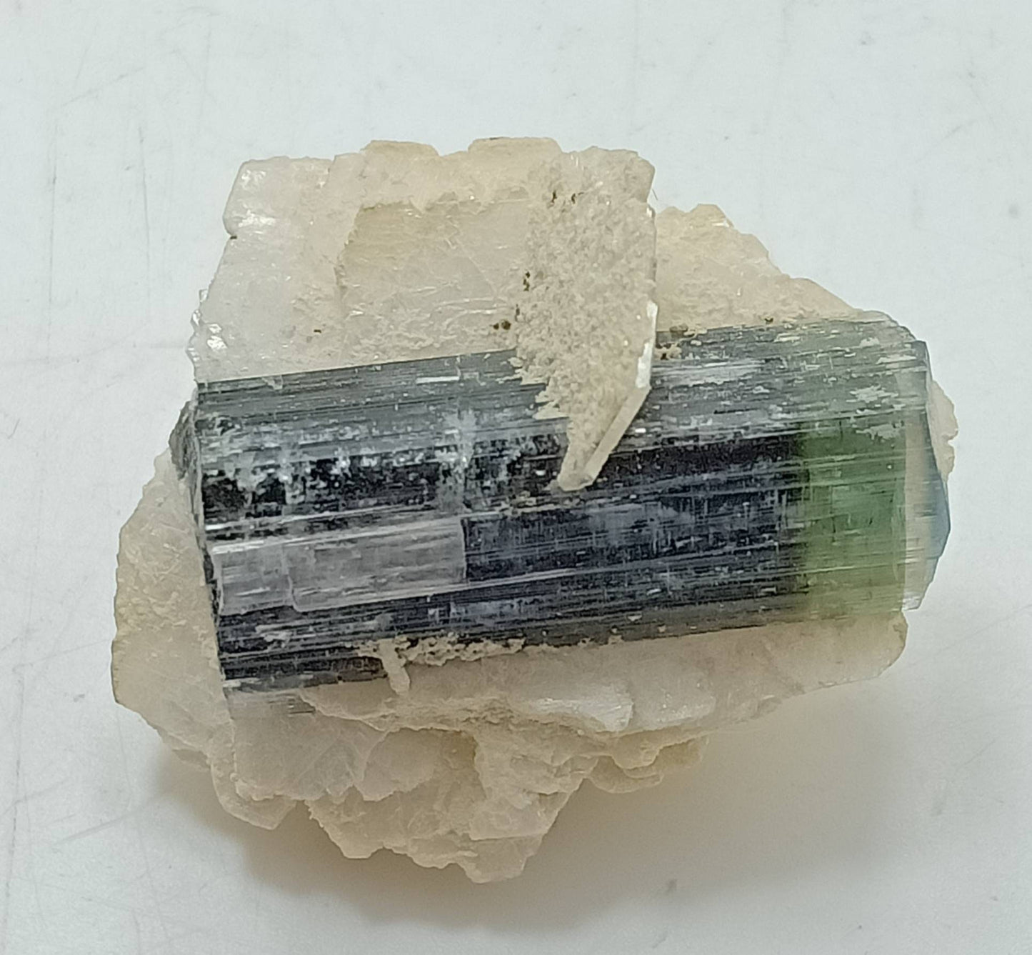Tricolor Tourmaline crystal on matrix of Albite 14 grams