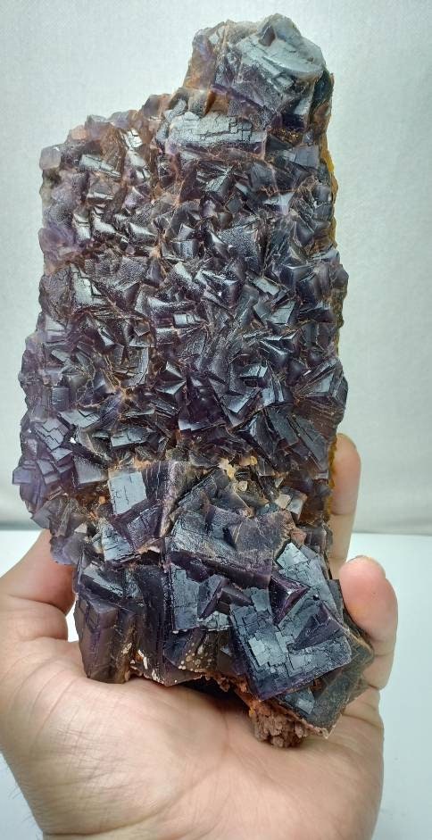 Amazing Fluorite clusters plate 1350 grams