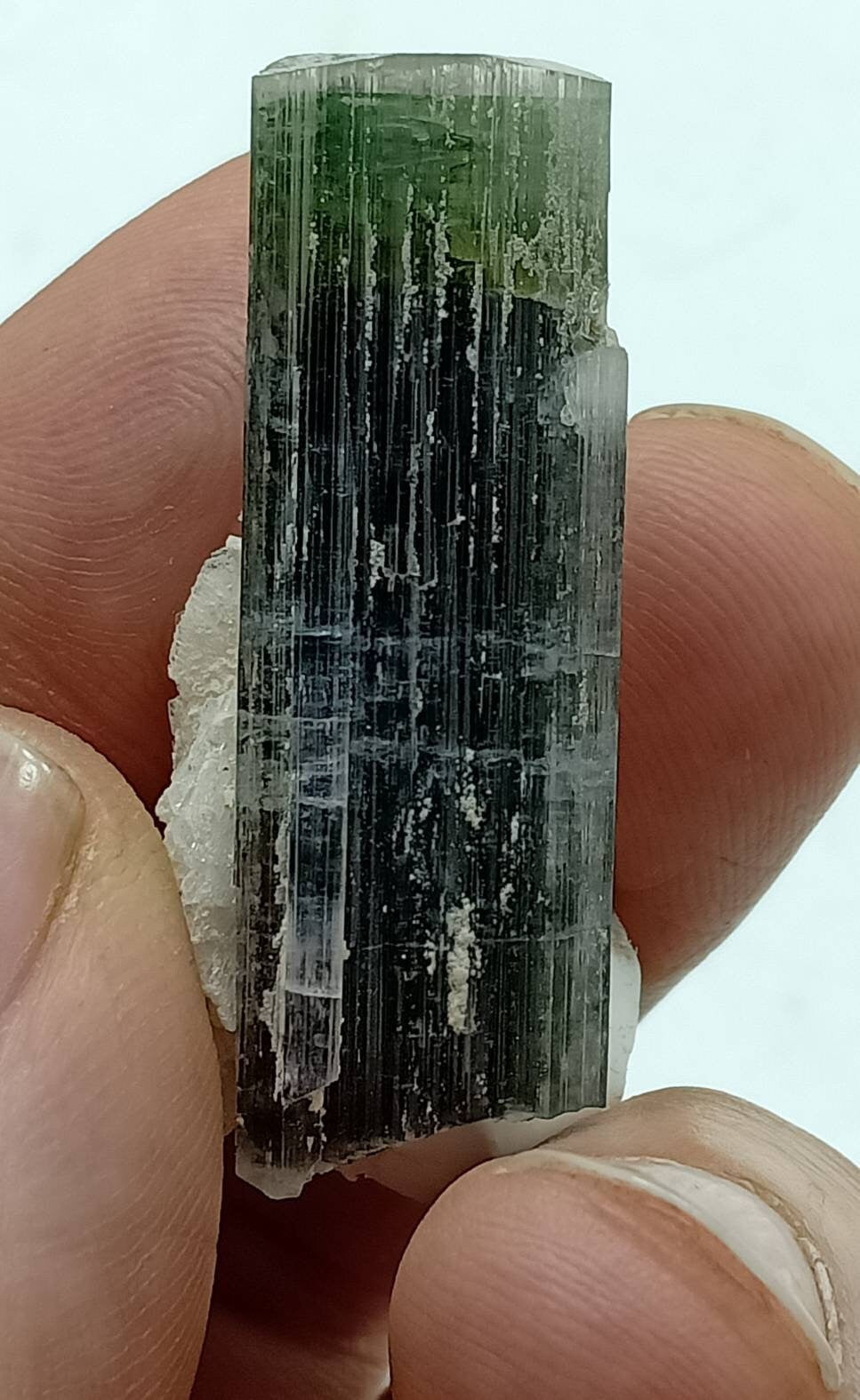 An amazing tricolor Tourmaline crystal with associated Albite from Stak Nala Gilgit Baltistan 12 grams