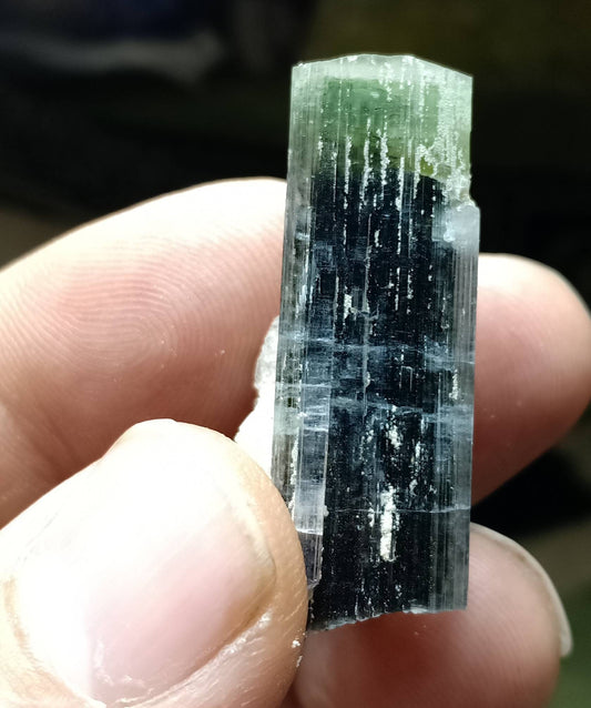 An amazing tricolor Tourmaline crystal with associated Albite from Stak Nala Gilgit Baltistan 12 grams