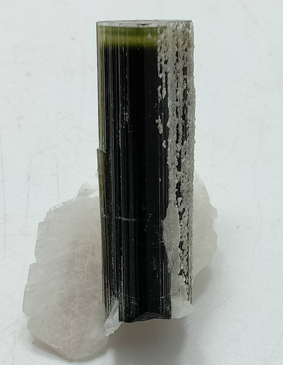 Tricolor Tourmaline crystal with Albite from Stak Nala Gilgit Baltistan 11 grams