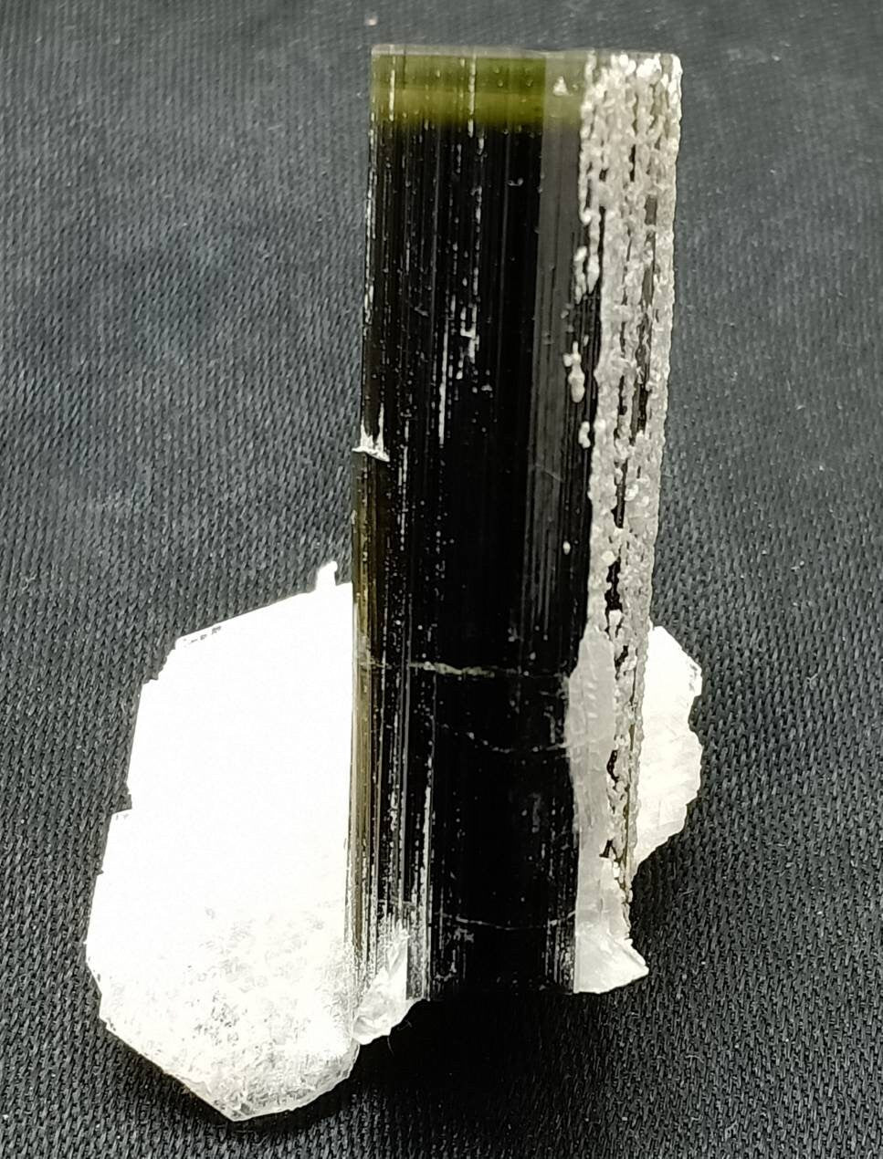 Tricolor Tourmaline crystal with Albite from Stak Nala Gilgit Baltistan 11 grams