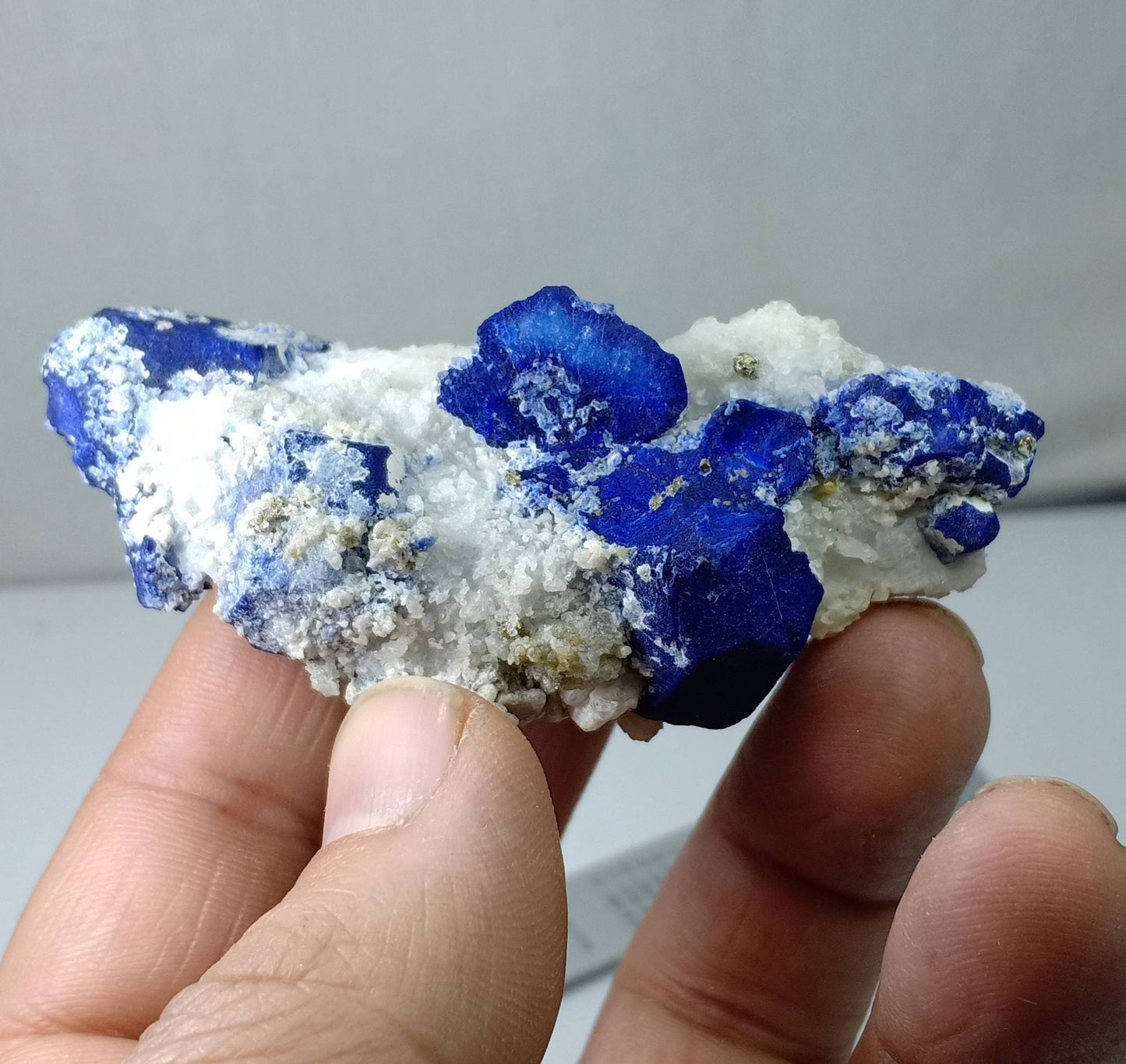 An Aesthetic specimen of Lazurite on Calcite and Marble with Pyrite