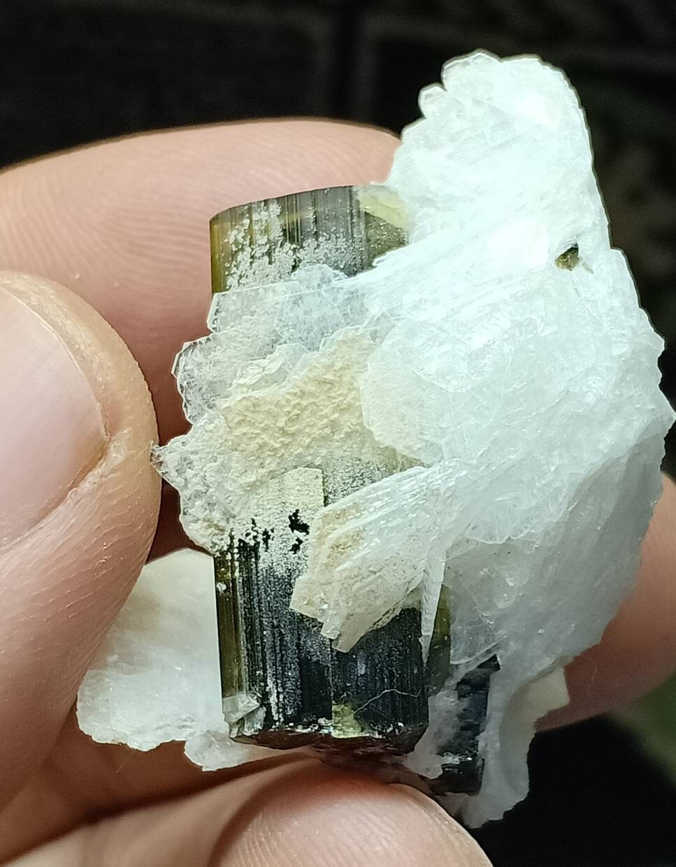 An amazing specimen of multicolor Tourmaline with associated flower like albite formations 18 grams
