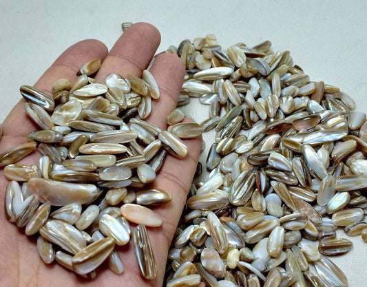 Polished Sea Shells tumbles/ beads aka nacre with rainbow effect 450 grams