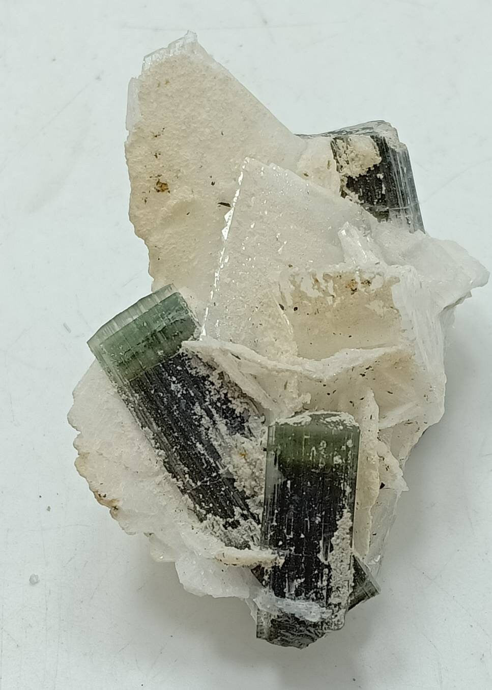 Tri color Tourmaline crystals specimen on matrix with Albite from Stak Nala Gilgit Baltistan 34 grams