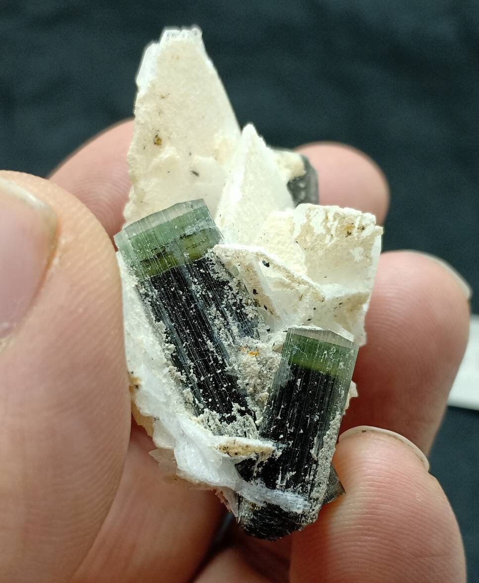 Tri color Tourmaline crystals specimen on matrix with Albite from Stak Nala Gilgit Baltistan 34 grams