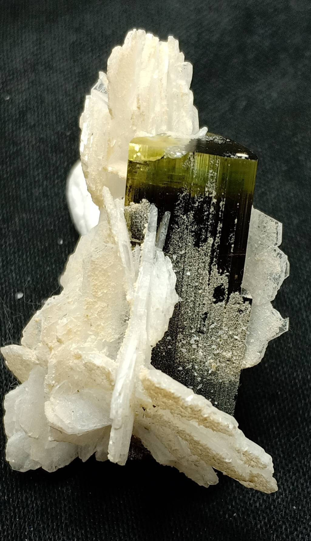 An amazing specimen of multicolor Tourmaline with associated flower like albite formations 18 grams