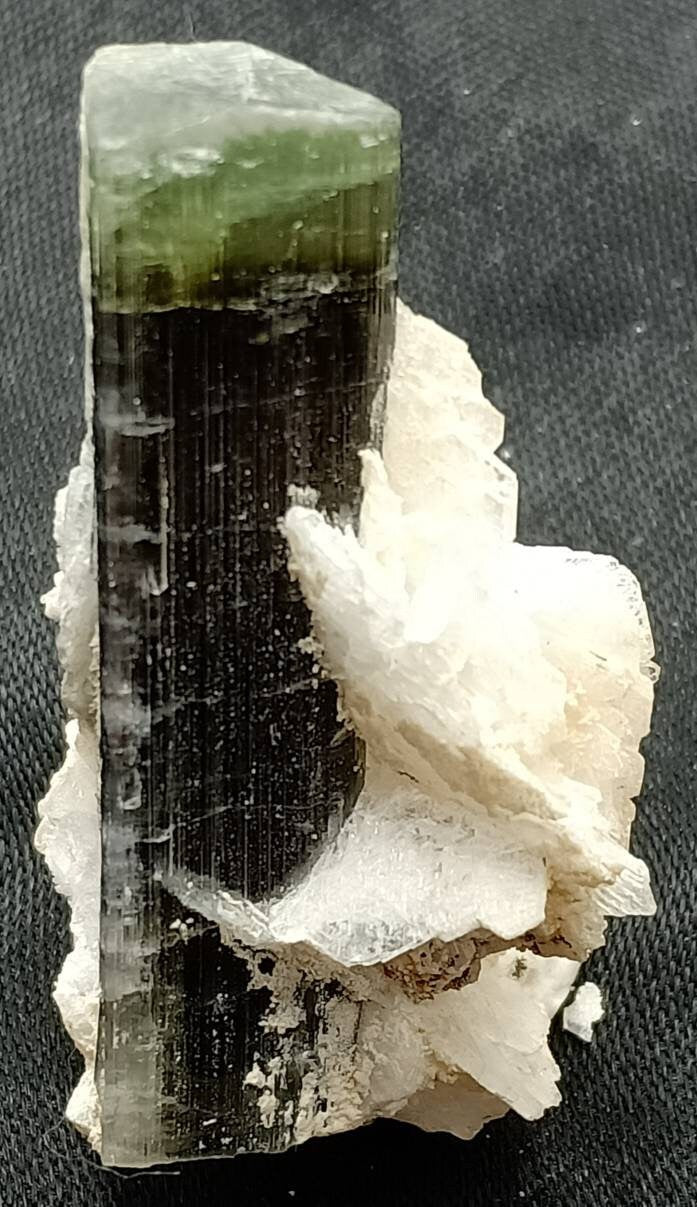 An amazing tricolor Tourmaline crystal with associated flower like albite formations from Gilgit Pakistan 12 grams
