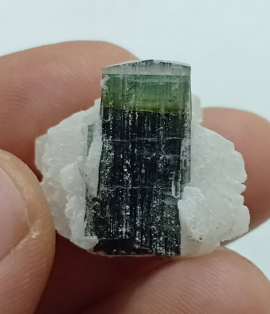 Single beautiful Terminated multicolor Tourmaline crystal with associated cleavelandite formations 8 grams