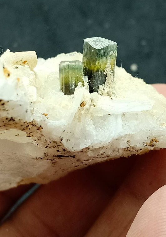 An amazing matrix of multicolor Tourmaline twin crystals with Albite, Muscovite and Quartz combination from Stak Nala Gilgit 108 grams