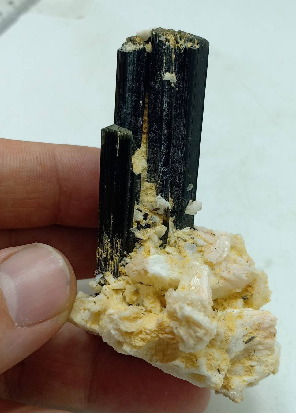 Tourmaline crystals on matrix with Albite attachment self standing 89 grams