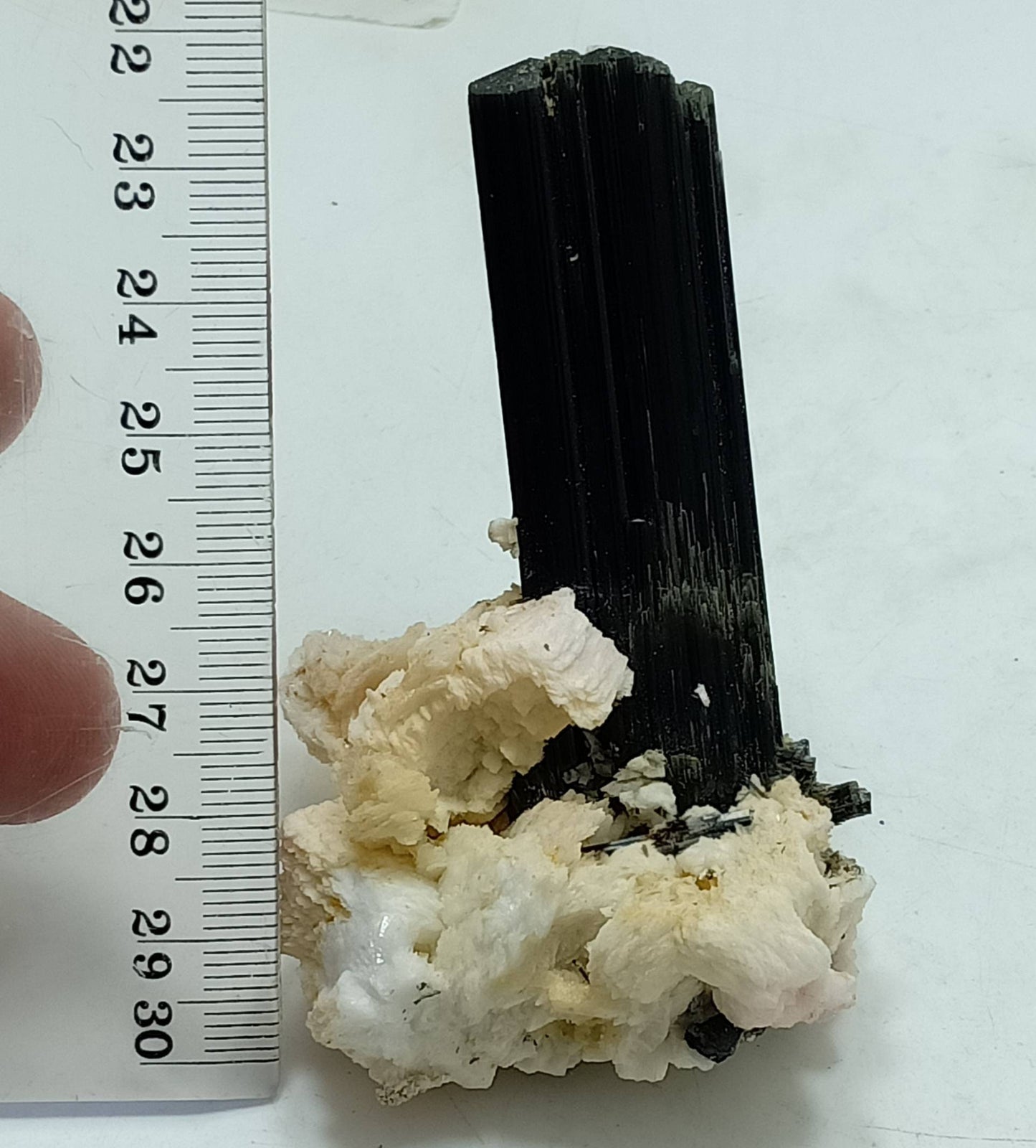Tourmaline crystals on matrix with Albite attachment self standing 89 grams