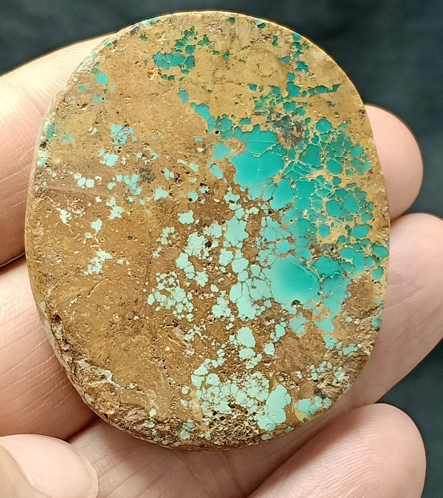 An amazing middle eastern natural turquoise Cabochon in matrix 44 grams