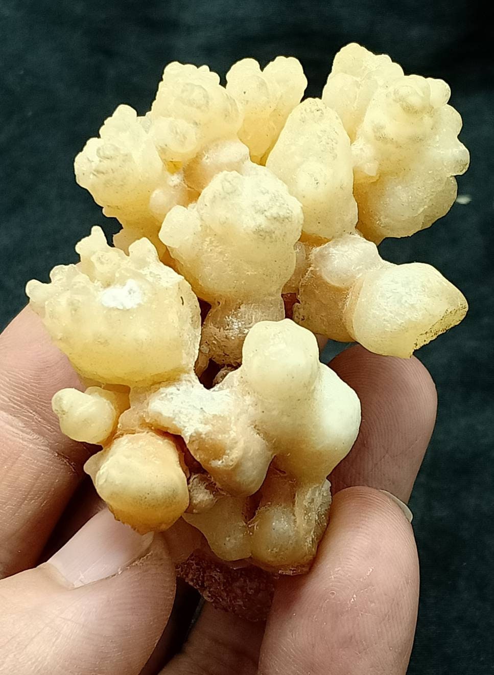 An aesthetic specimen of aragonite flower shape natural terminated crystals 112 grams