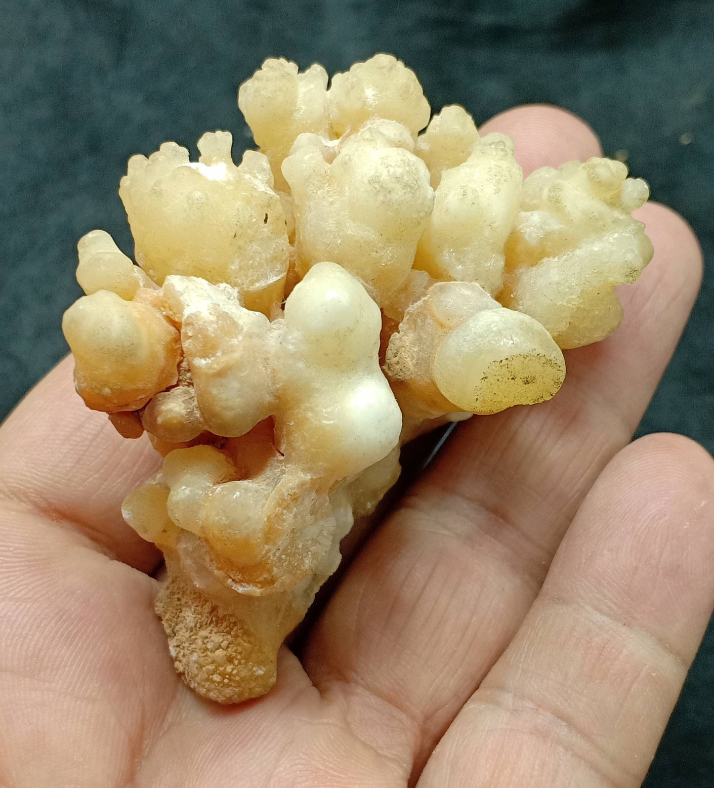 An aesthetic specimen of aragonite flower shape natural terminated crystals 112 grams