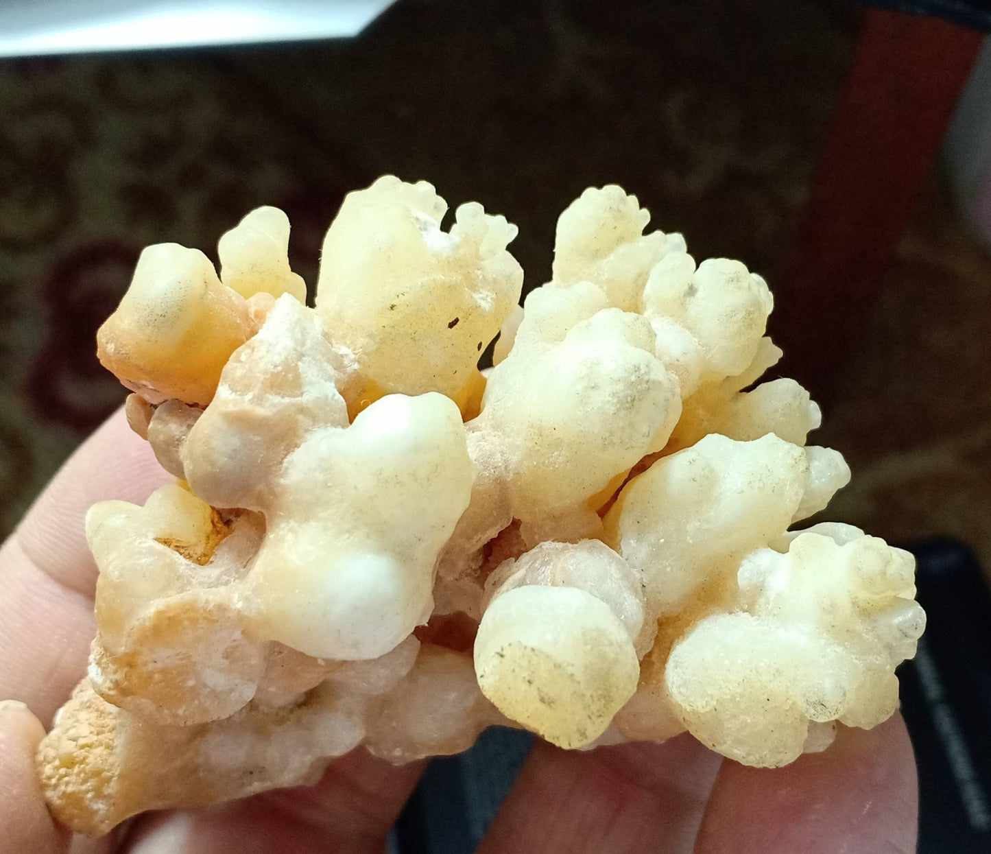 An aesthetic specimen of aragonite flower shape natural terminated crystals 112 grams