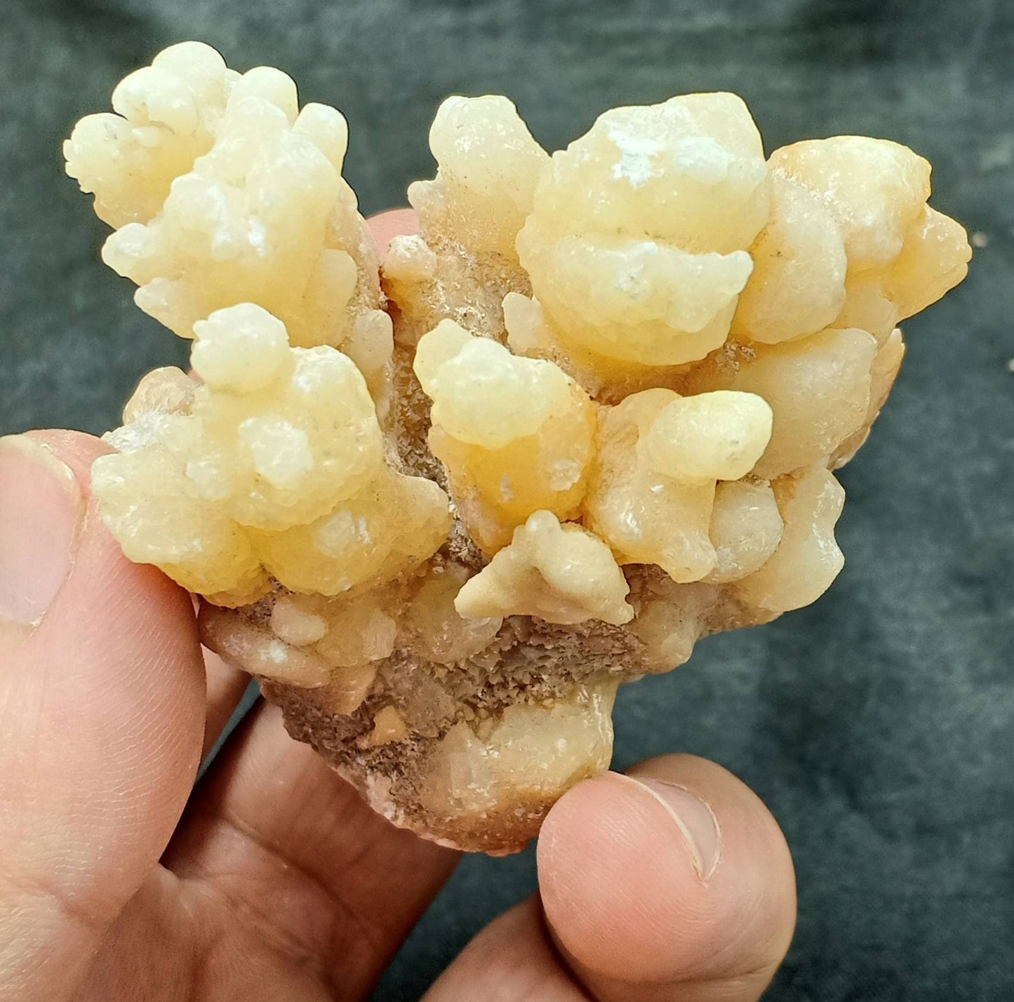 An aesthetic specimen of aragonite flower shape natural terminated crystals 168 grams