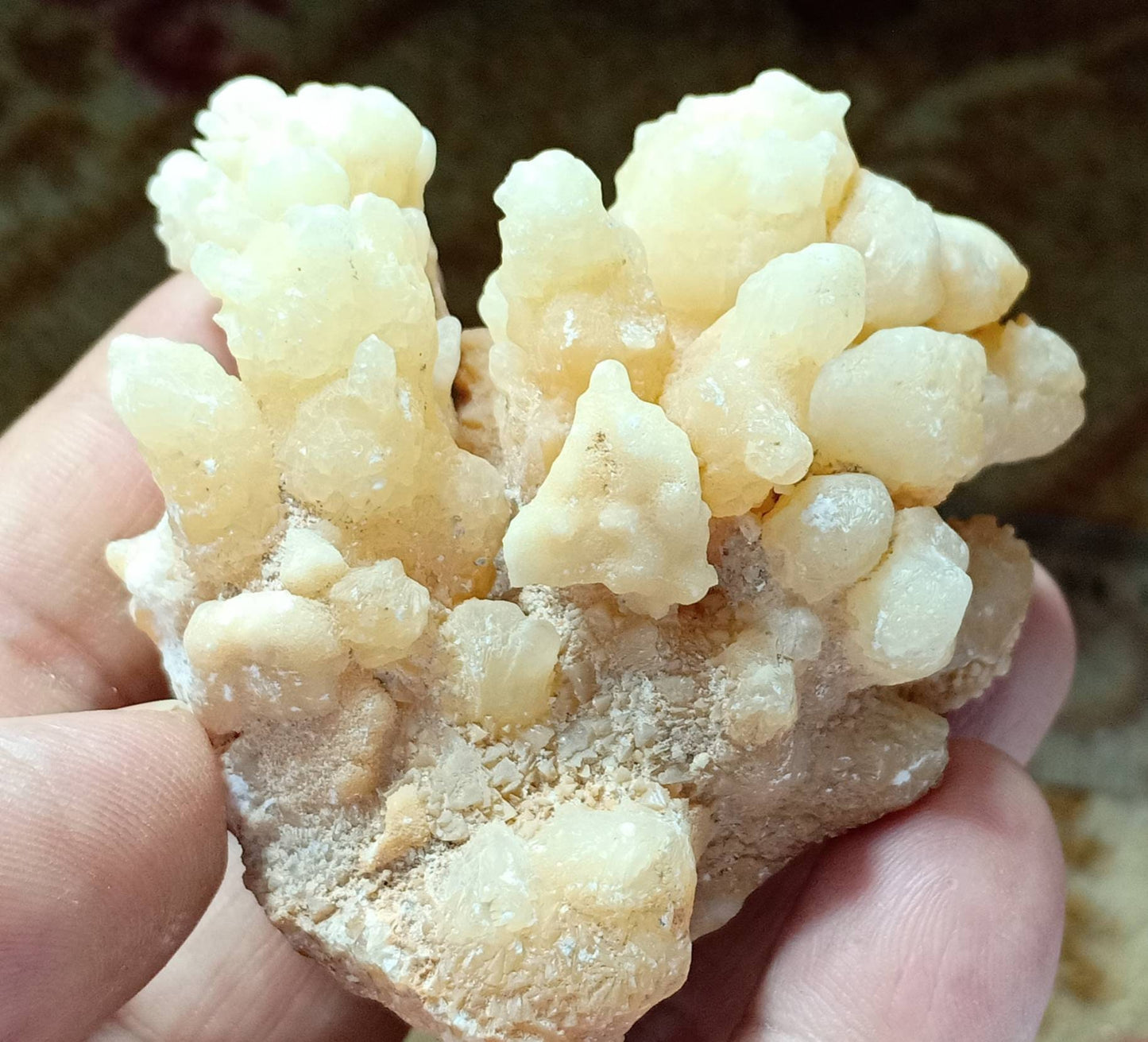 An aesthetic specimen of aragonite flower shape natural terminated crystals 168 grams