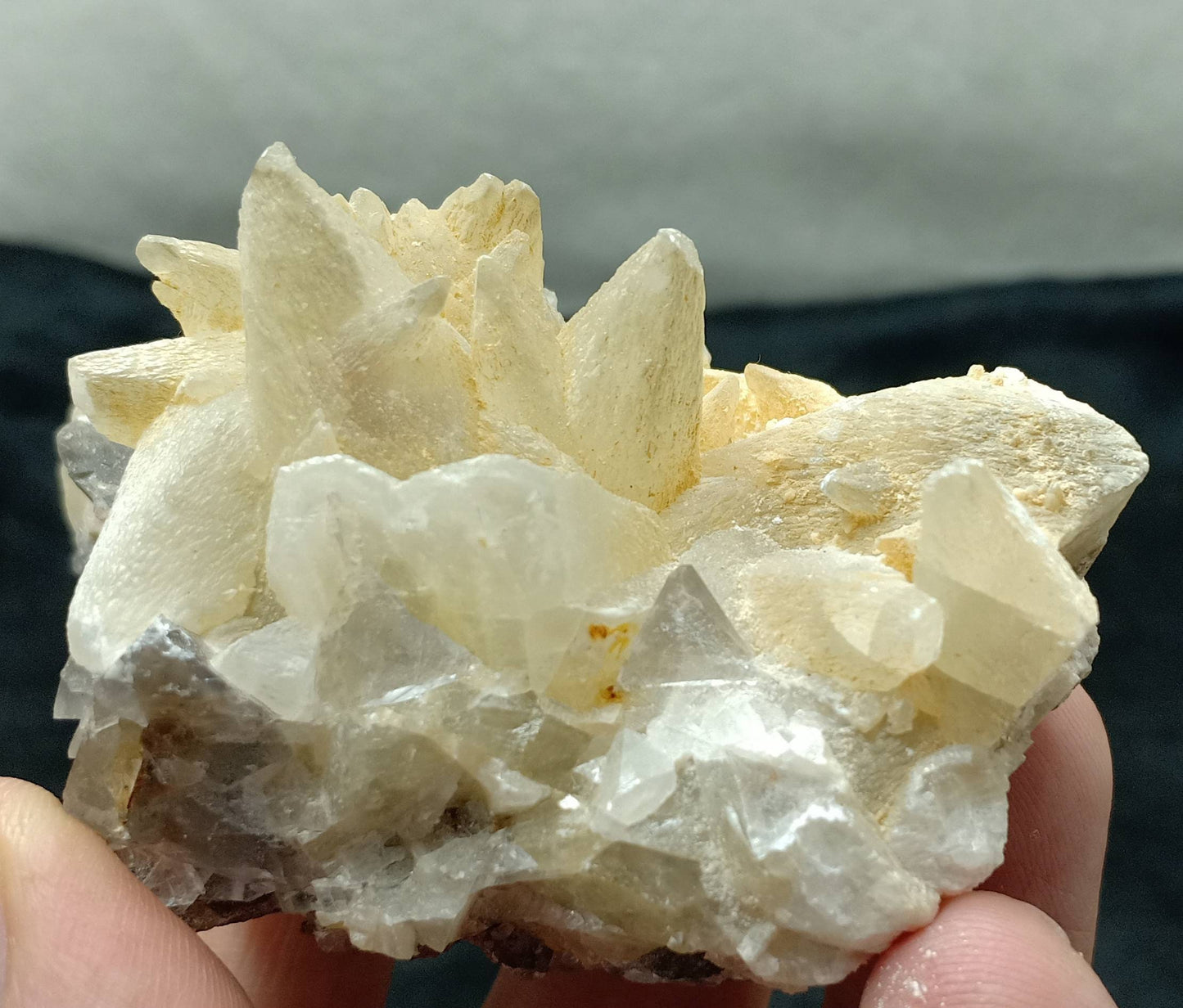 Single beautiful Dogteeth calcite crystals cluster with beautiful terminations with Fluorite combinations 207 grams