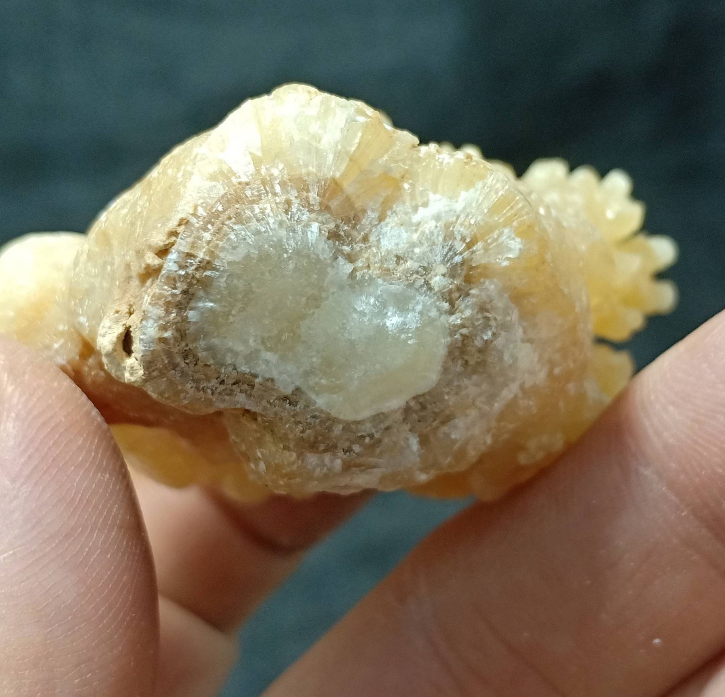 An aesthetic specimen of aragonite flower shape natural terminated crystals 89 grams