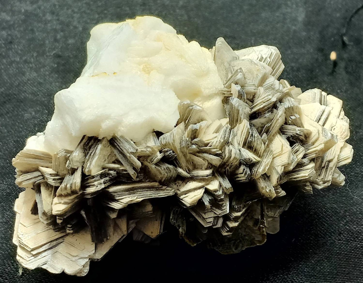 Natural specimen of combination of Albite, Schorl, and Muscovite 137 grams