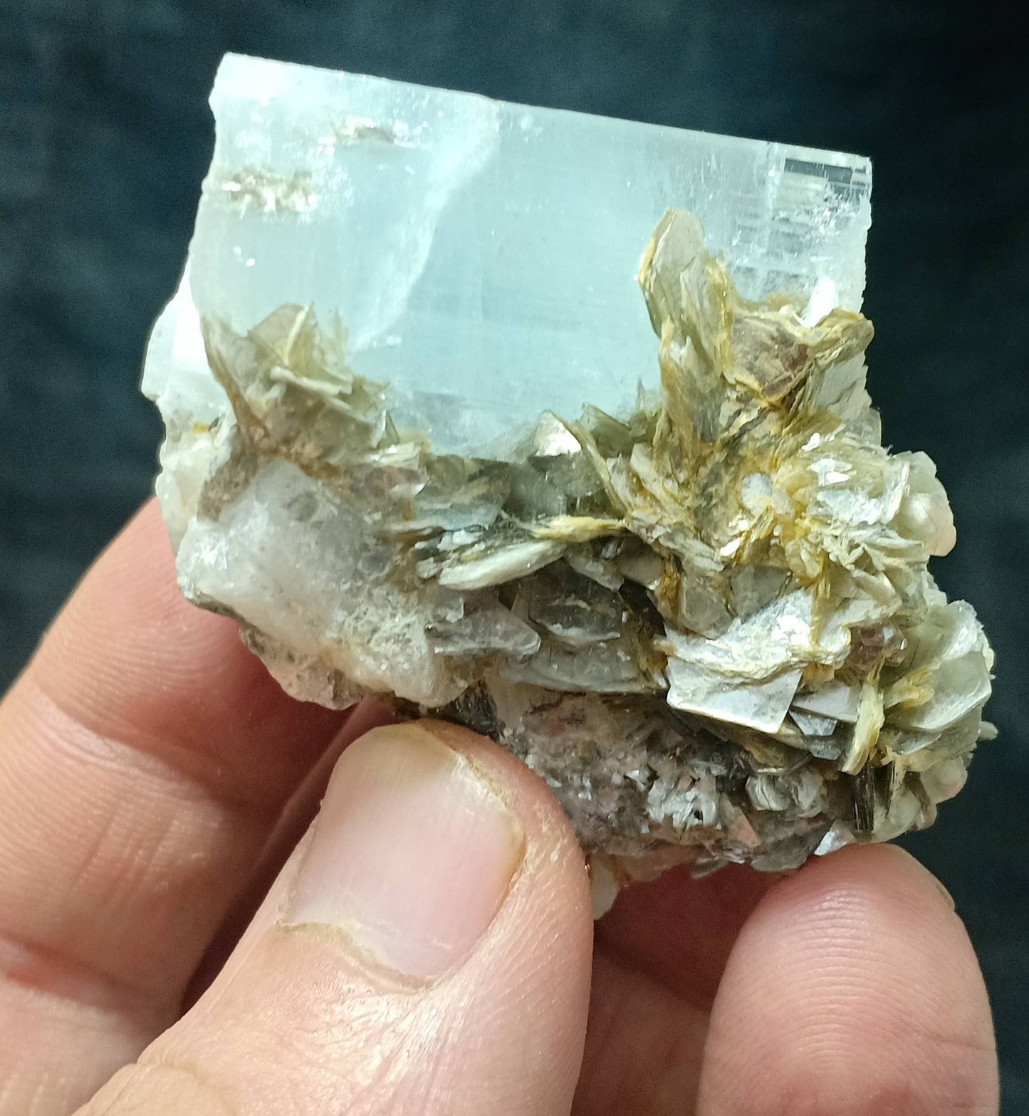 An amazing beautifully terminated Aquamarine Specimen with associated Muscovite and Fluorite 82 grams