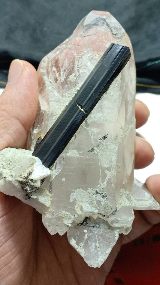 Black Tourmalines crystals with Quartz and some albite 283 grams