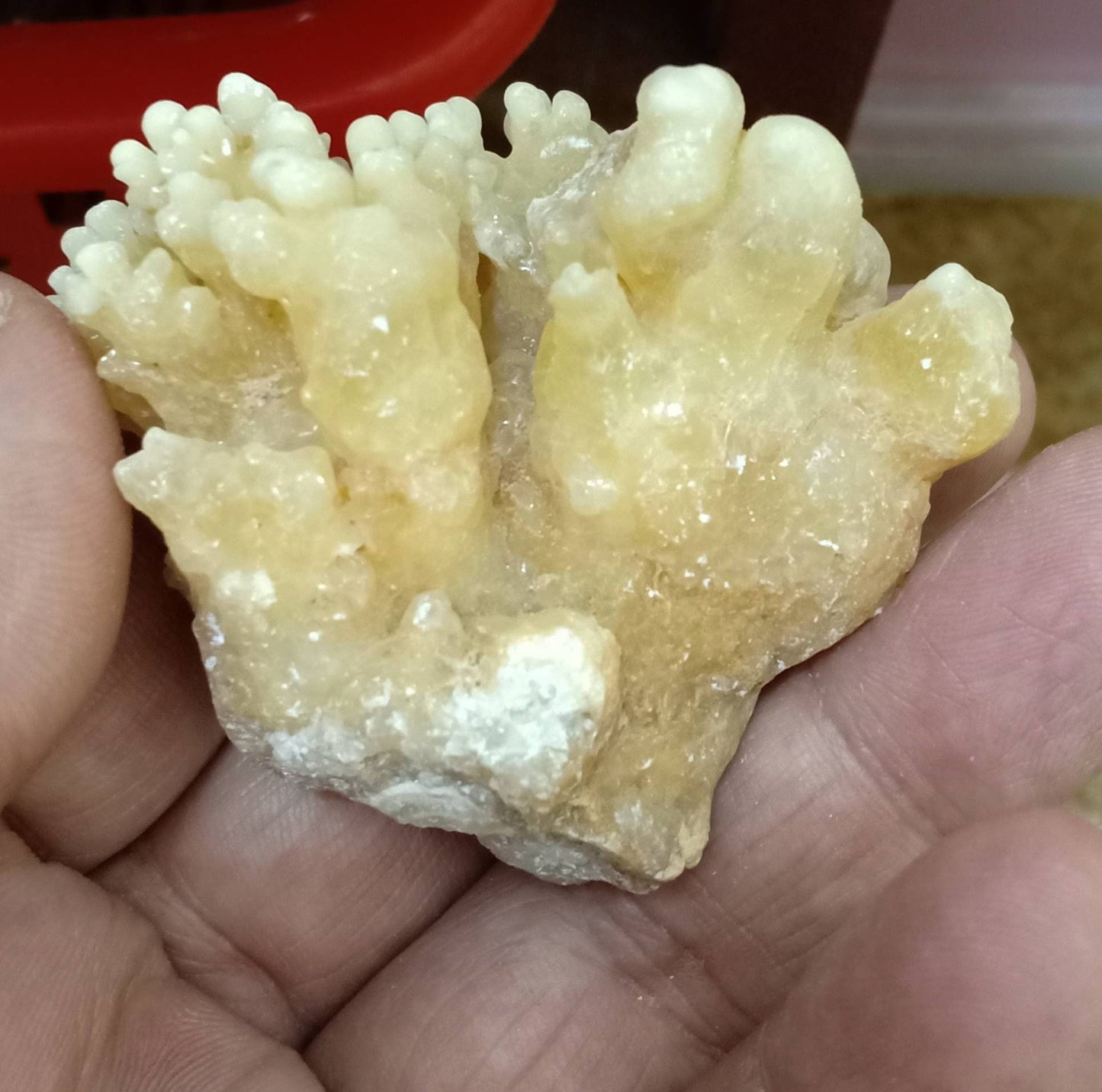 An aesthetic specimen of aragonite flower shape natural terminated crystals 89 grams