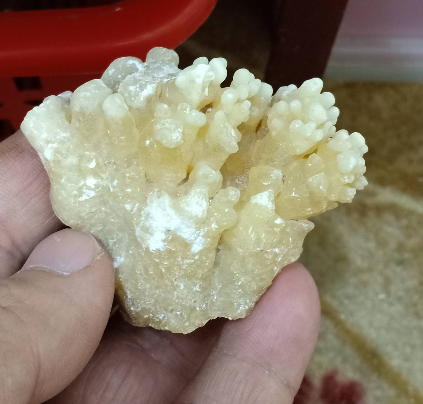 An aesthetic specimen of aragonite flower shape natural terminated crystals 89 grams