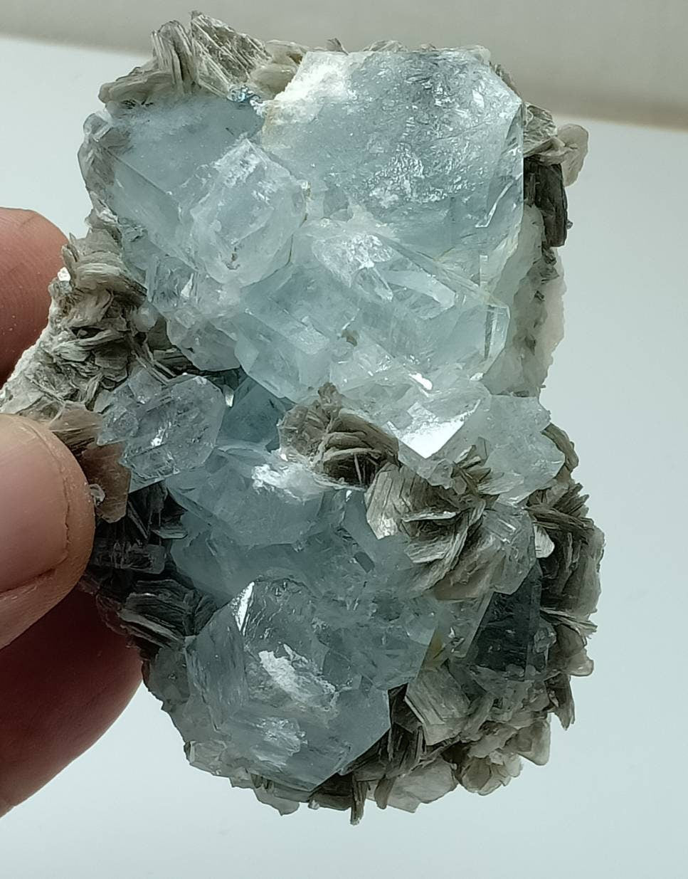 Aquamarine crystals Specimen with Albite and Muscovite 234 grams