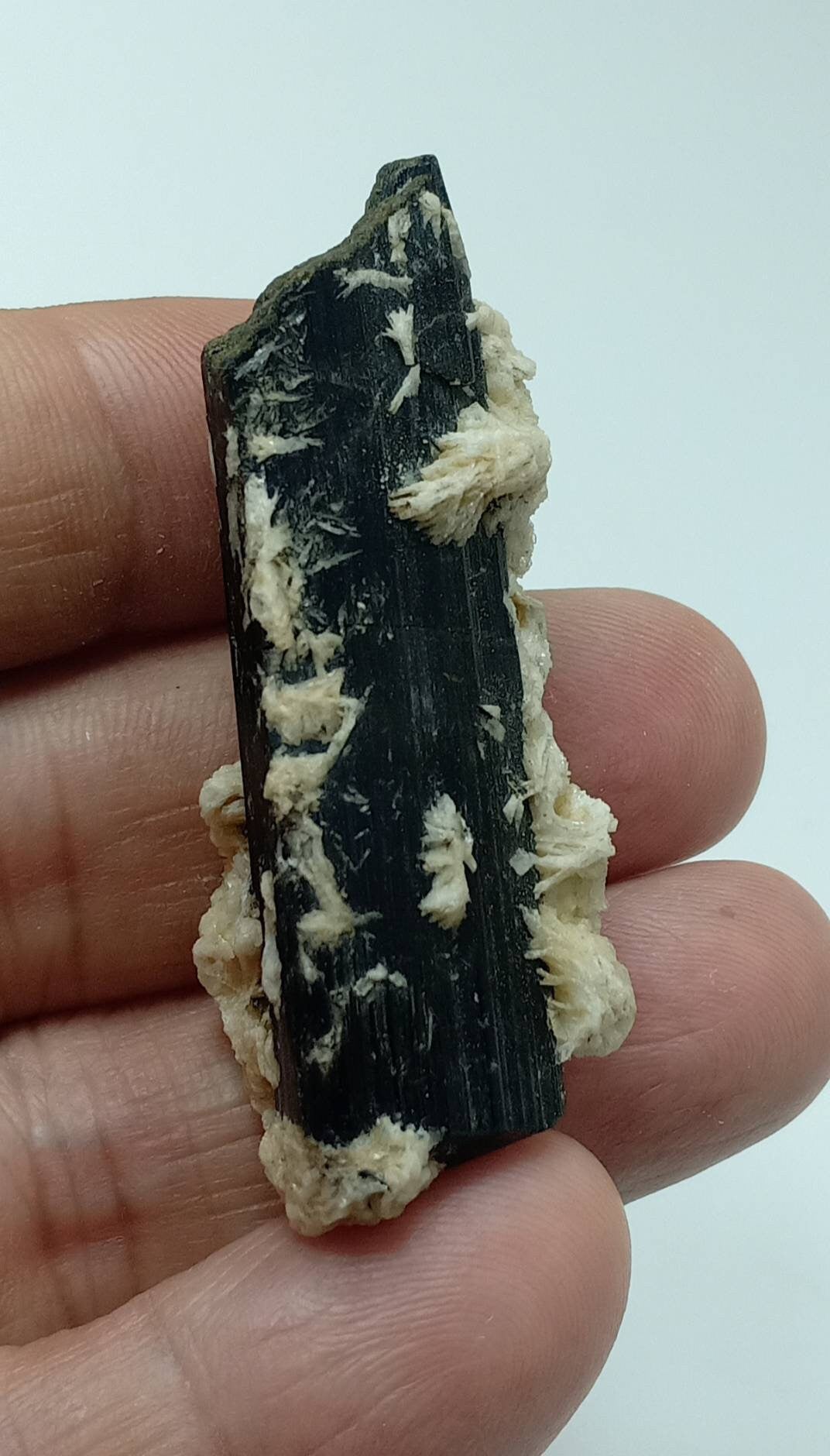 An Aesthetic Natural Tourmaline crystal with associated Albite 30 grams