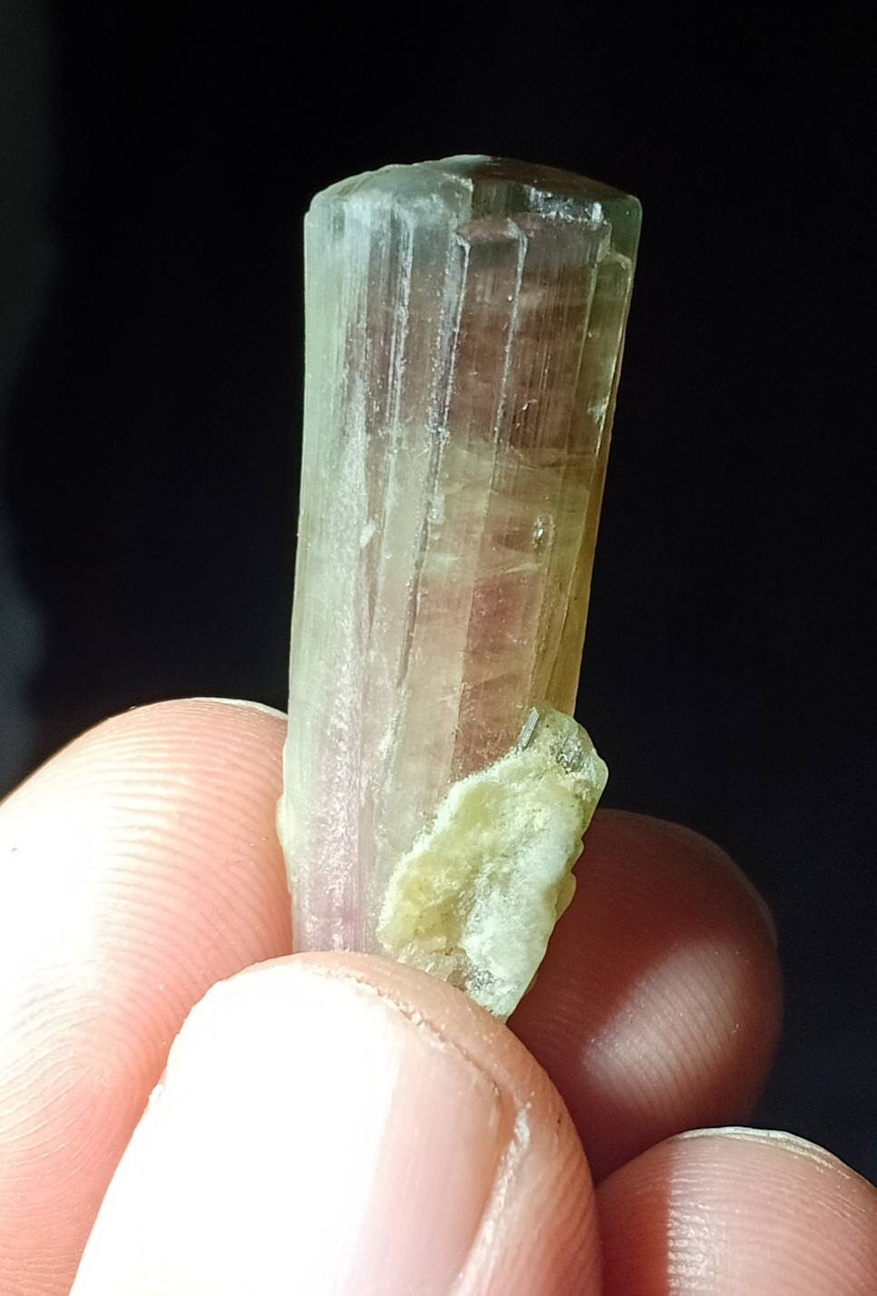 Single amazing watermelon Tourmaline crystal with beautiful termination 45 carats