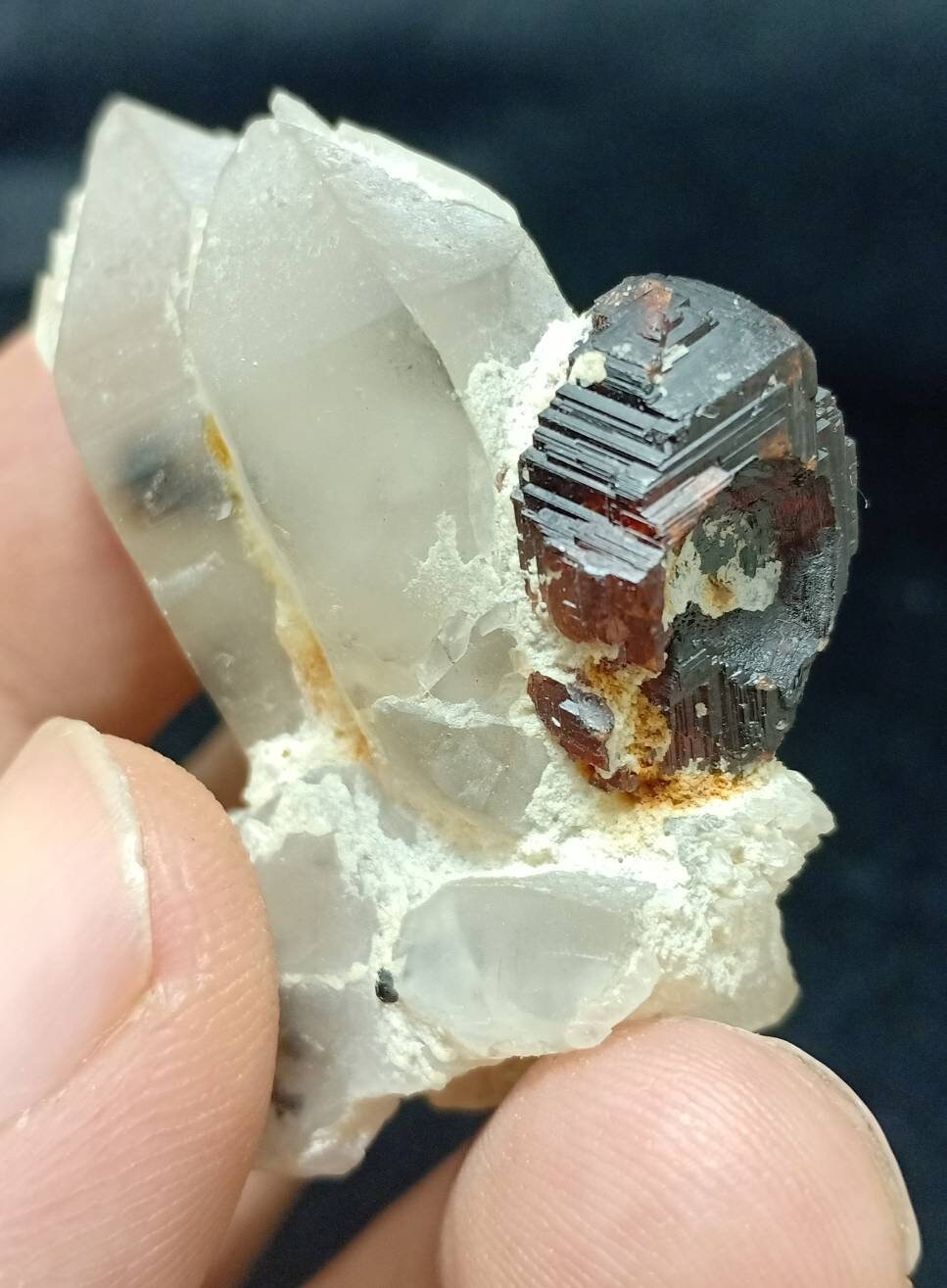 An amazing beautifully terminated specimen of spessartine Garnet crystal on twin crystals of quartz 45 grams