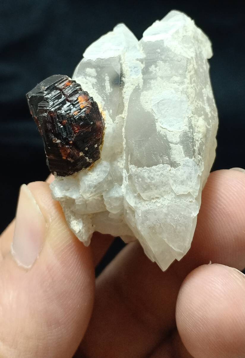 An amazing beautifully terminated specimen of spessartine Garnet crystal on twin crystals of quartz 45 grams