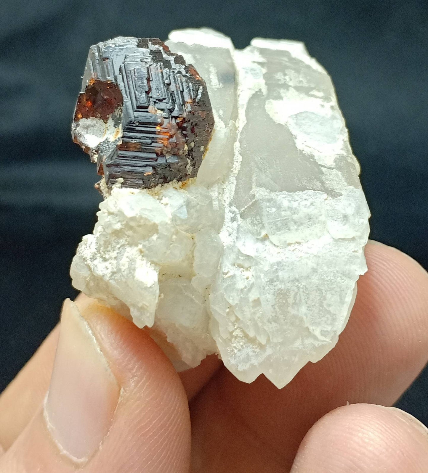 An amazing beautifully terminated specimen of spessartine Garnet crystal on twin crystals of quartz 45 grams