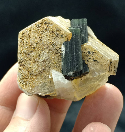 Green cap Tourmalines on matrix with muscovites 49 grams