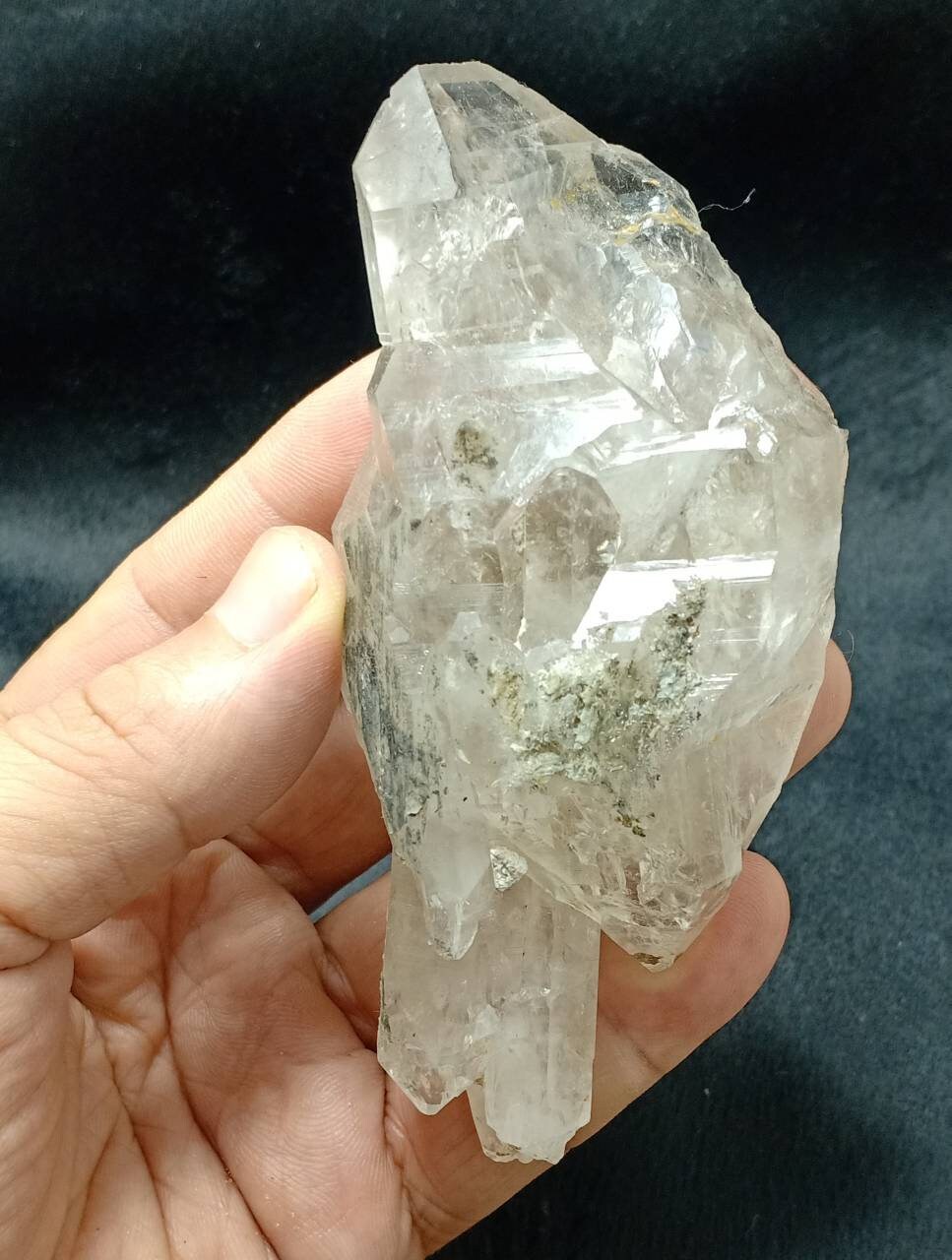 Terminated unique light smoky Quartz scepter Crystal 239 grams