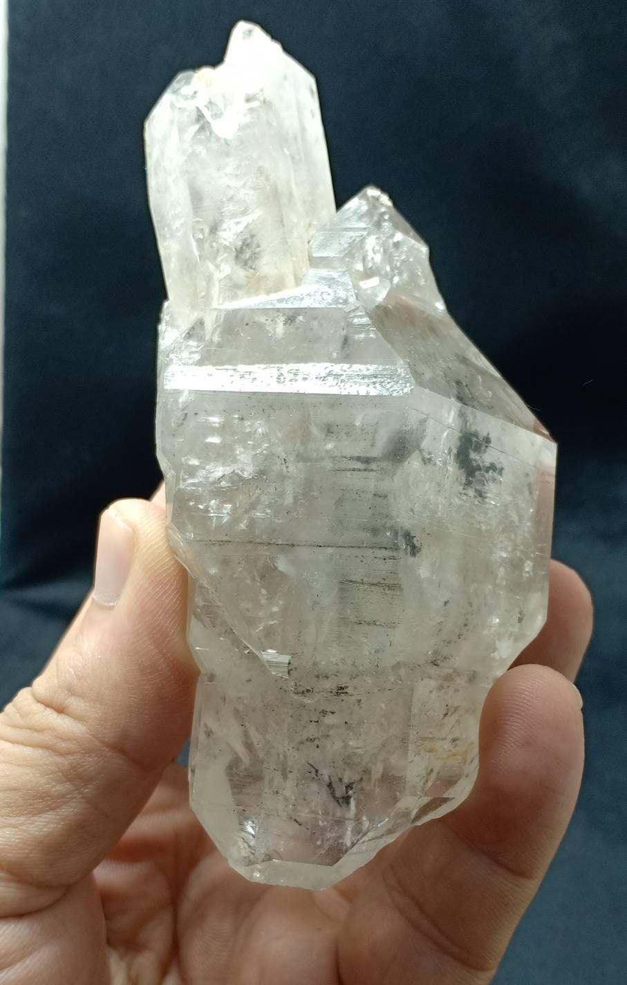 Terminated unique light smoky Quartz scepter Crystal 239 grams