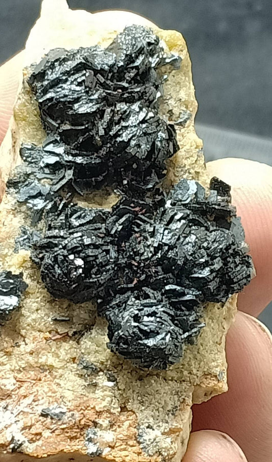 Hematite iron rose cluster 44 grams