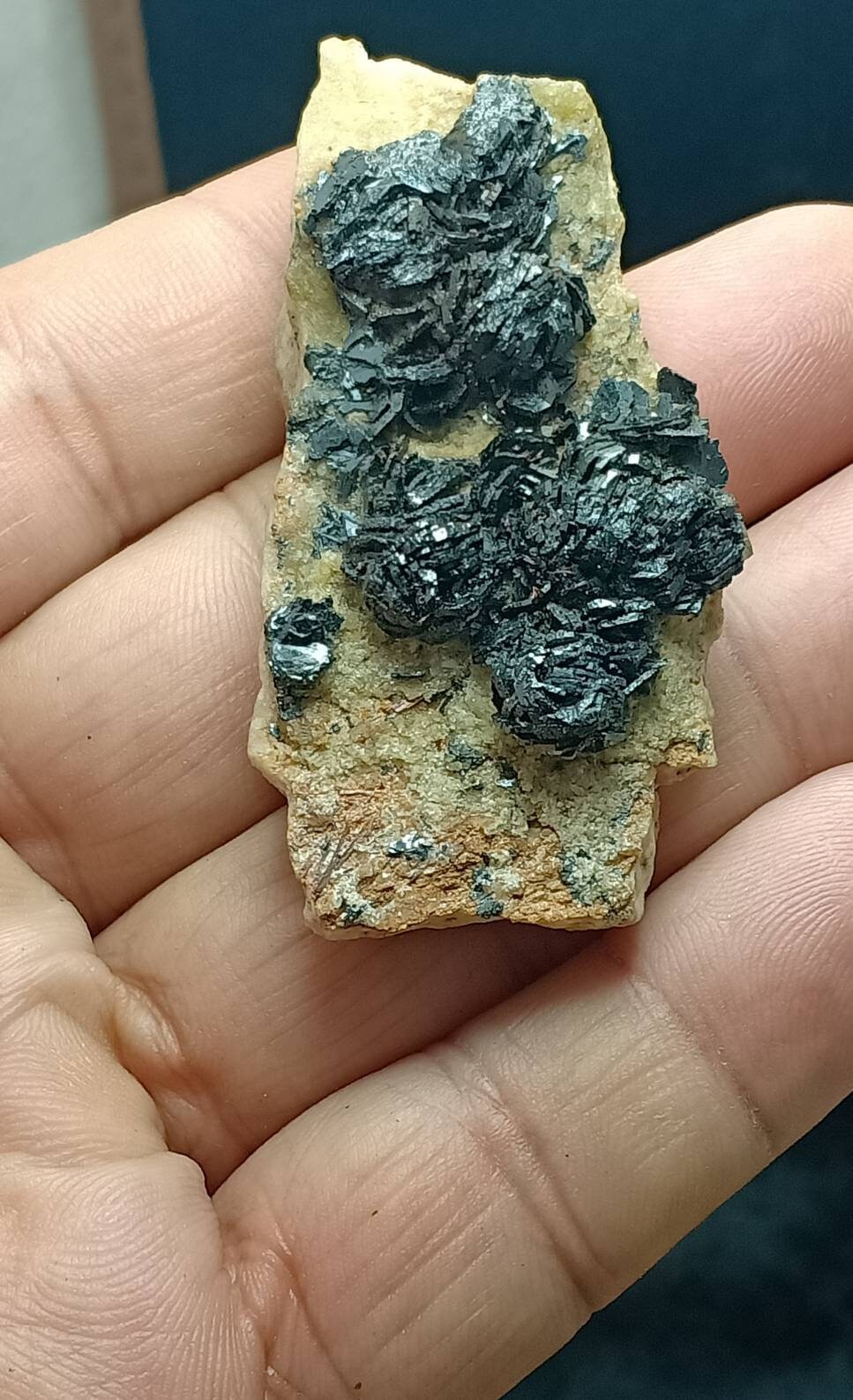 Hematite iron rose cluster 44 grams