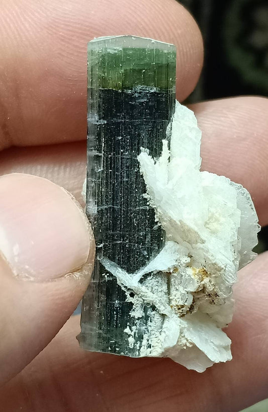 An amazing tricolor Tourmaline crystal with associated flower like albite formations from Gilgit Pakistan 12 grams
